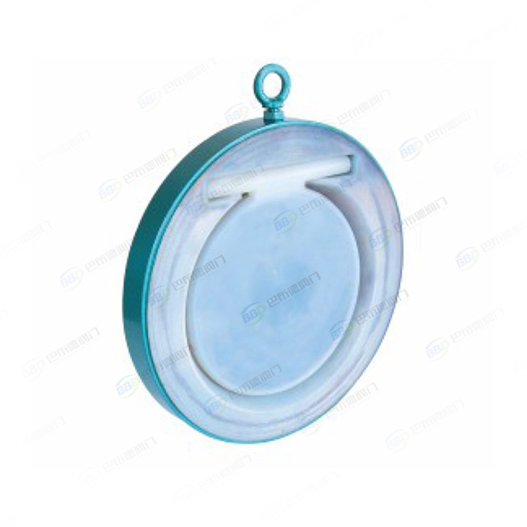 衬氟对夹止回阀